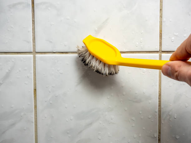 Best Mold Testing  in Mount Gilead, NC